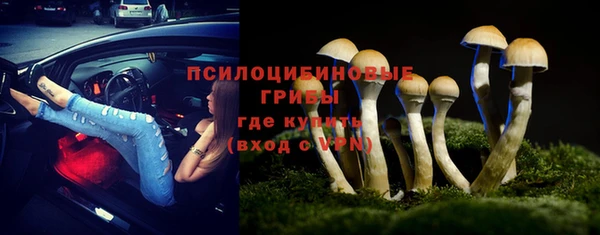 ешки Гусиноозёрск