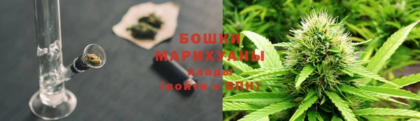 дживик Гусев