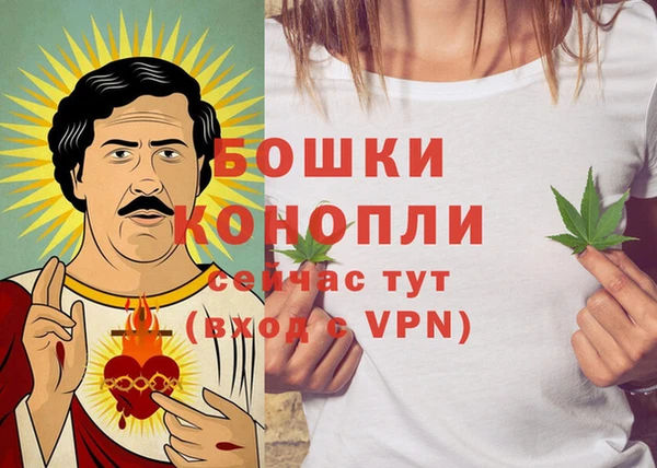 ешки Гусиноозёрск