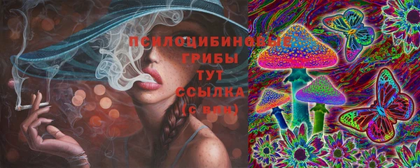 дживик Гусев