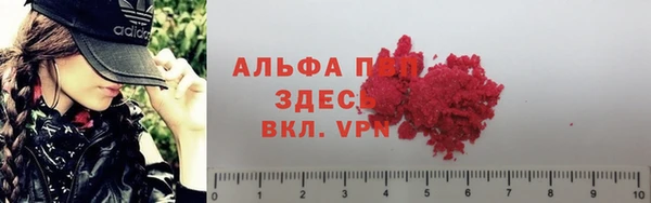 дживик Гусев