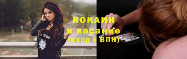 дживик Гусев